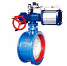 Soft seal butterfly valve